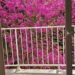 Pontaillac Metairie Apartment Royan