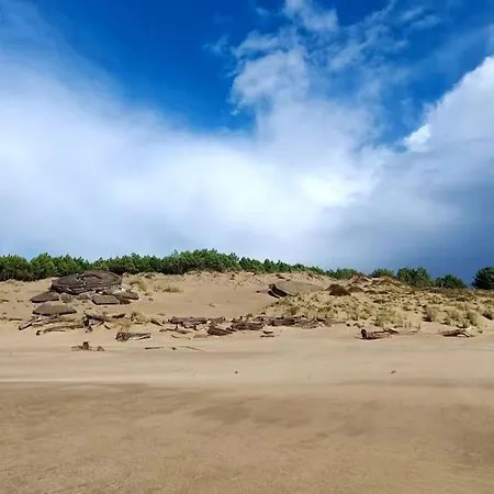 Pontaillac Metairie アパート ロワイヤン