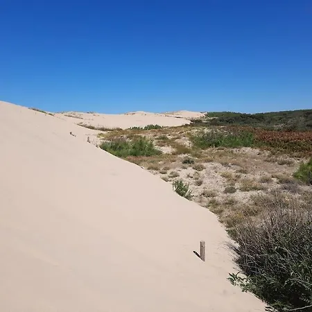 アパート Pontaillac Metairie