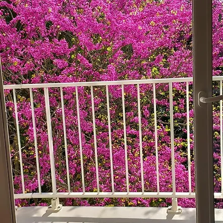 Pontaillac Metairie Apartmán Royan