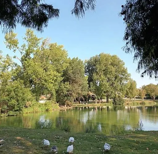 Pontaillac Metairie Apartmán