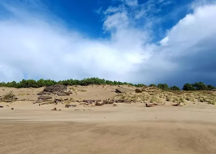 Pontaillac Metairie Apartmán Royan