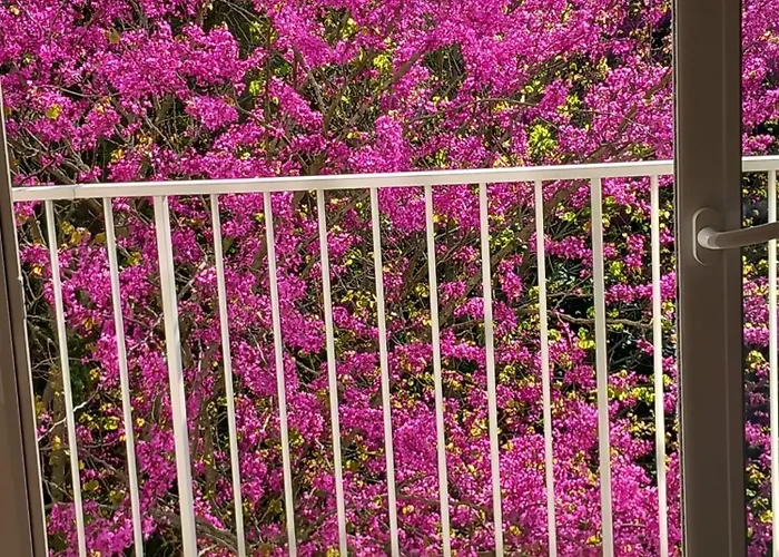 Pontaillac Metairie Apartmán Royan